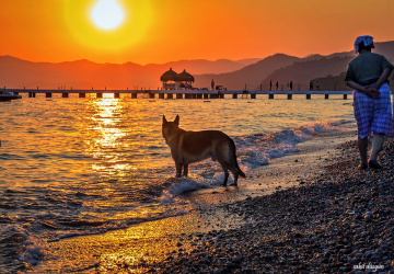 Fethiye.. 
