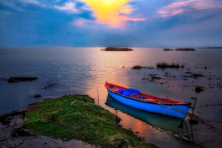 Bandırma Kuş Cenneti