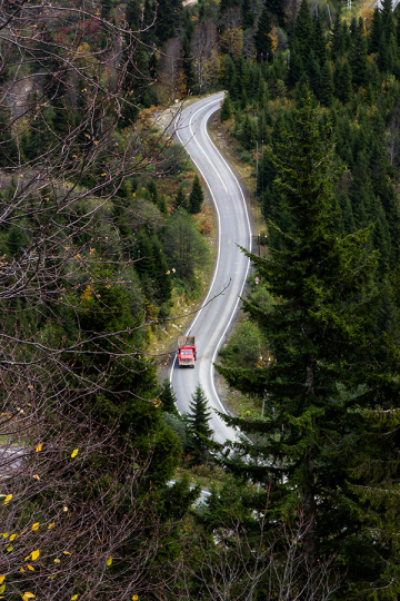 YOL