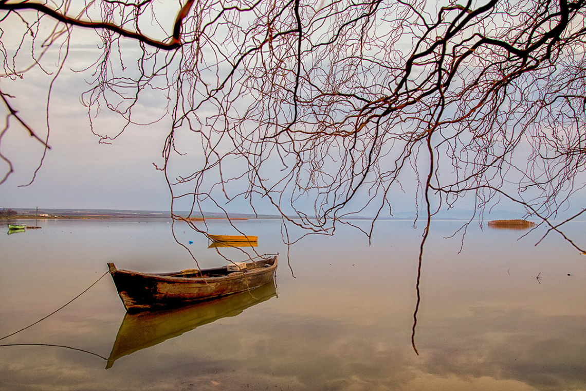 Bandırma Kuş Cenneti