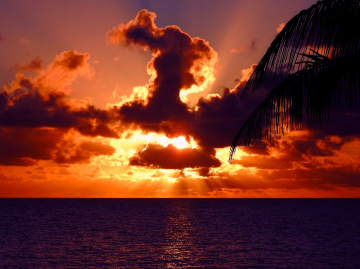 New day...