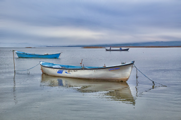 Bandırma Kuş Cenneti 640