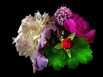 BLÜTEN