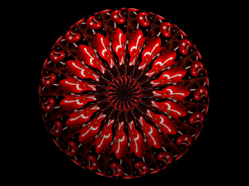 MANDALA