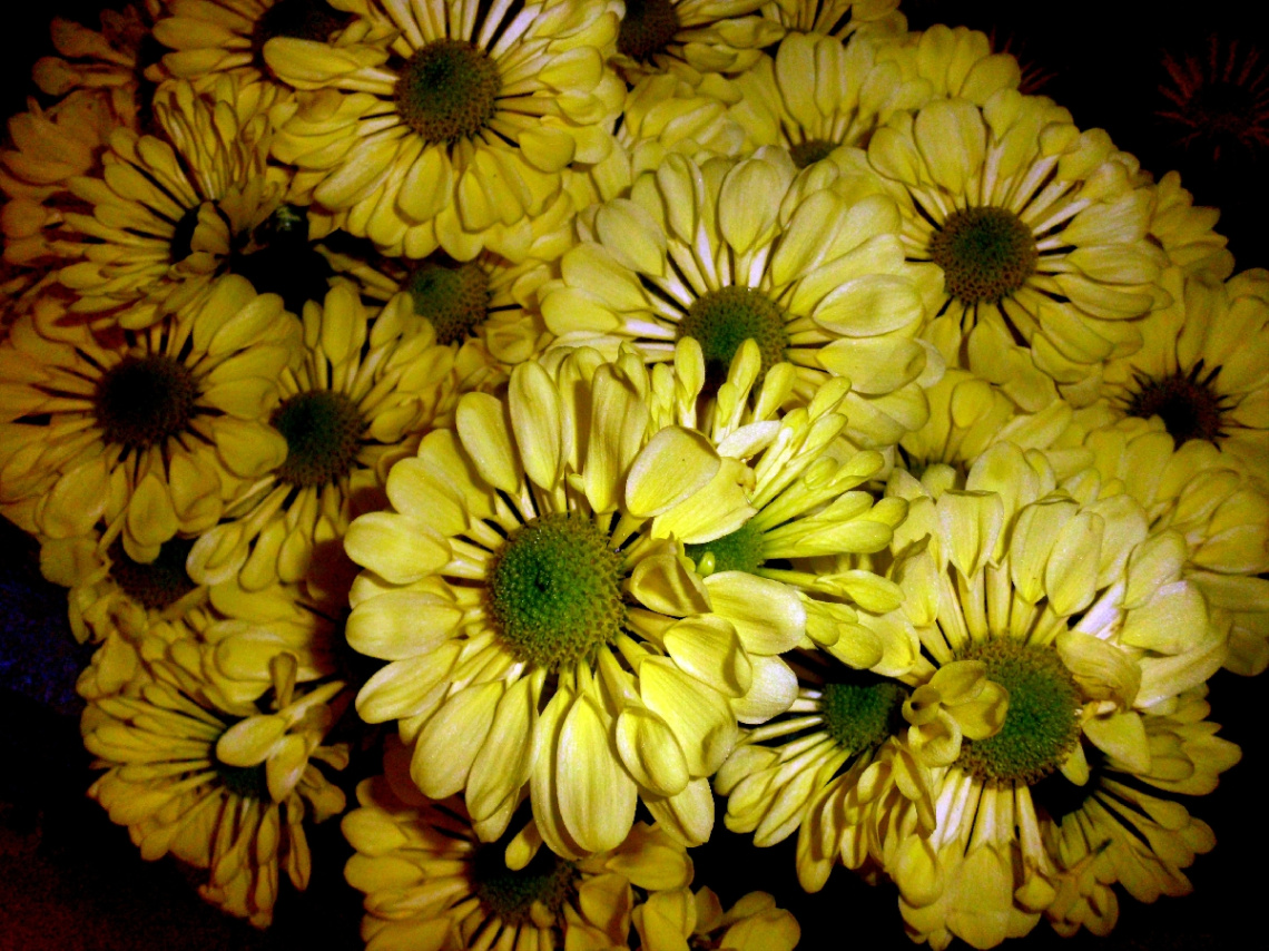 BLÜTEN