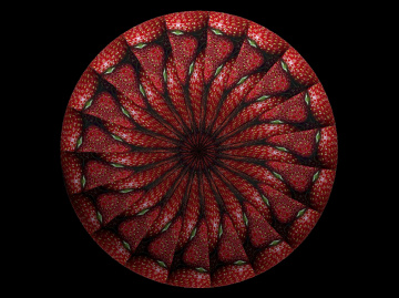 ERDBEERMANDALA 