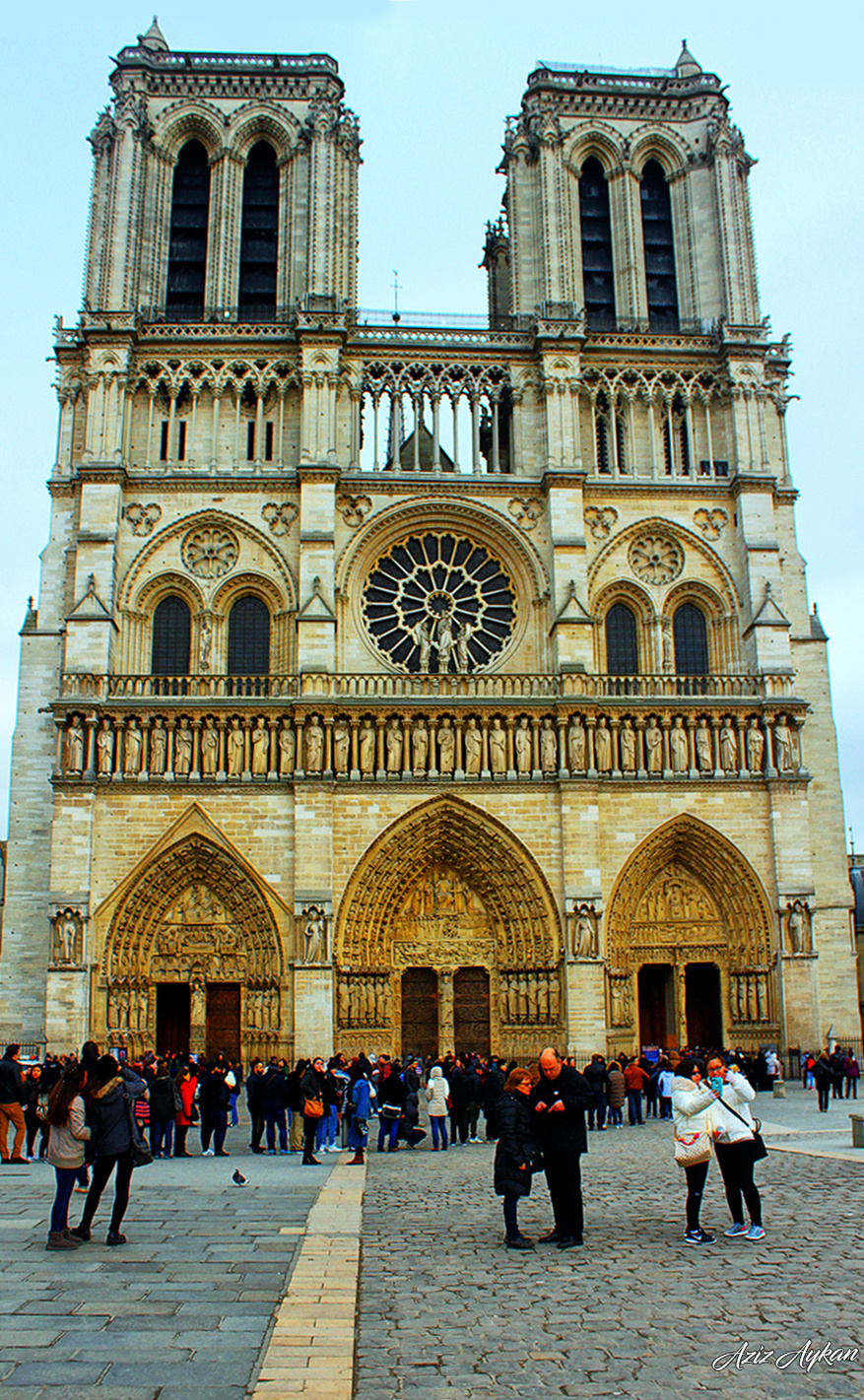 Notre Dame Katedrali /  Paris