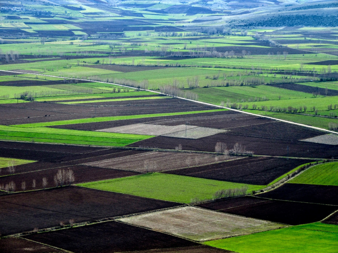 Doğanın halısı tarlalar