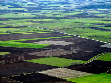 Doğanın halısı tarlalar