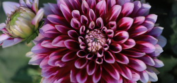 One