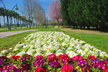 Sekapark'ta Bahar...