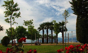 Kavaklı Marina & Bahar