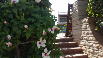 Egypt  - North coast 