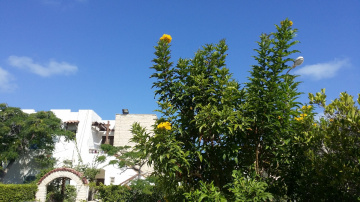 Egypt  - North coast 