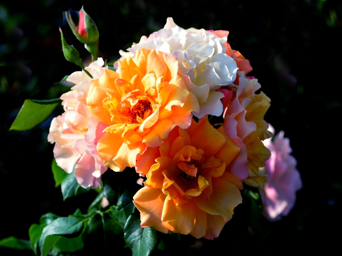 BLÜTEN