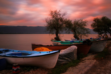 Gölyazı.