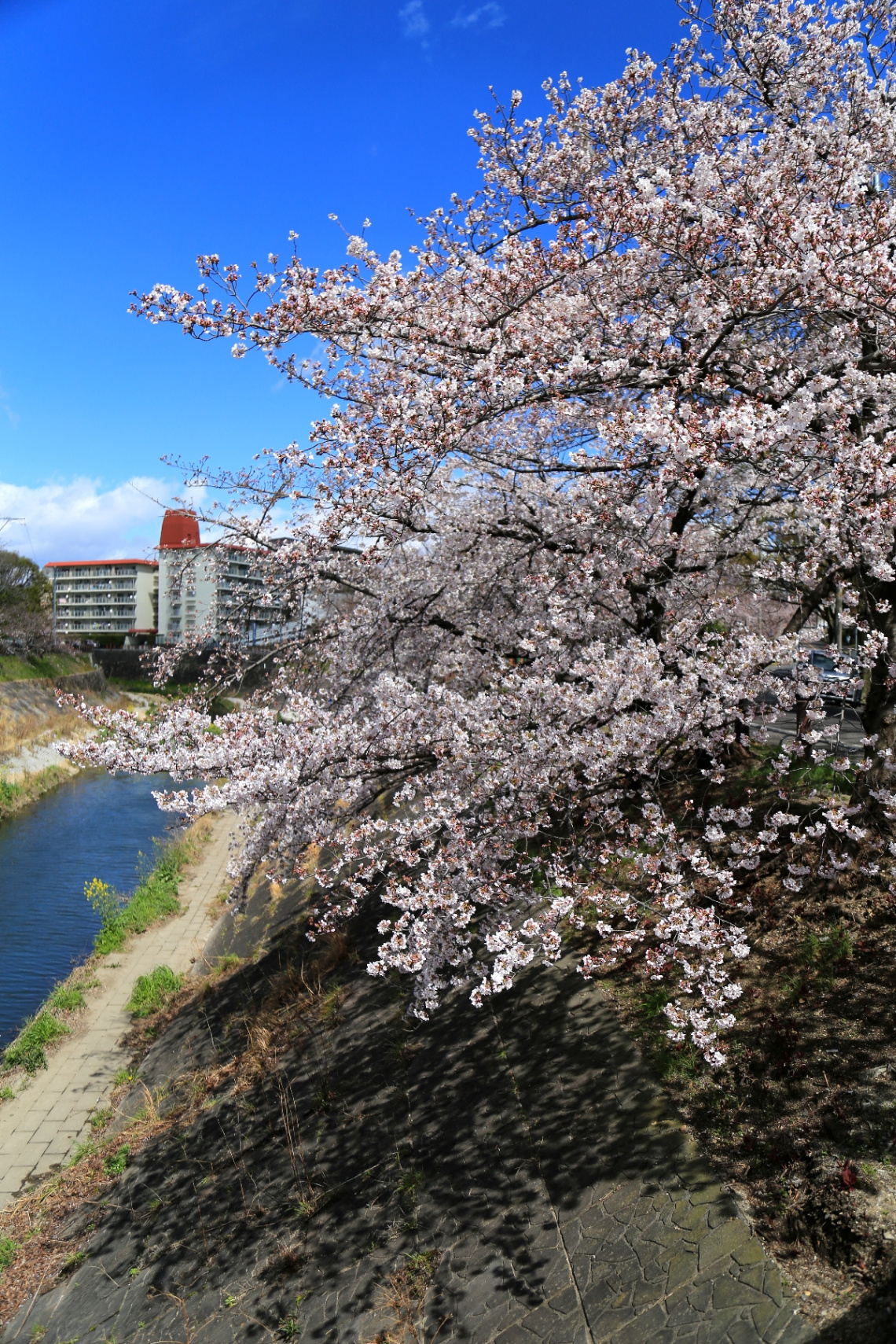 Under blue sky