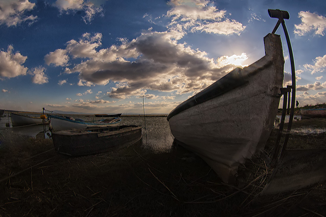 Bandırma Kuş Cenneti 259