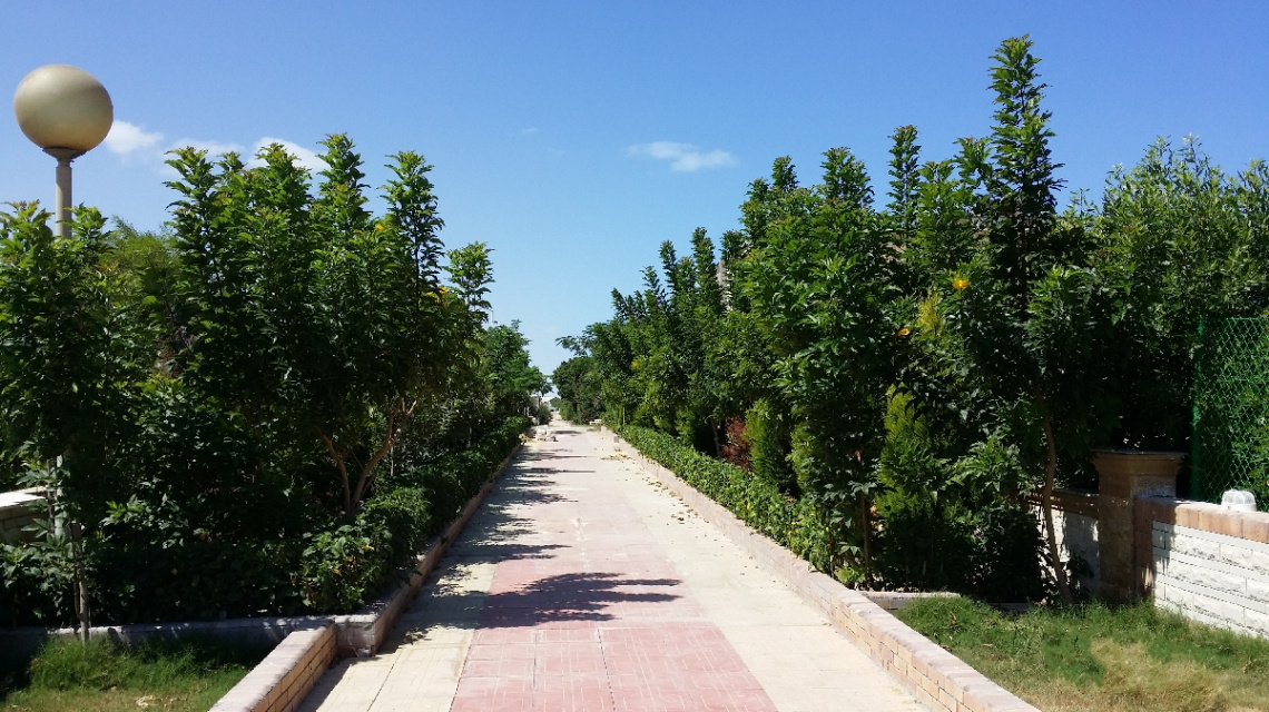 Egypt  - North coast 