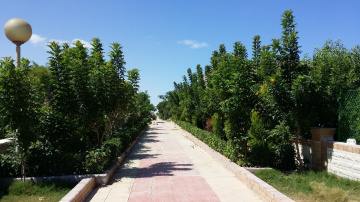 Egypt  - North coast 