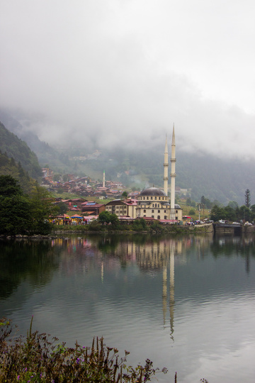 MANZARA