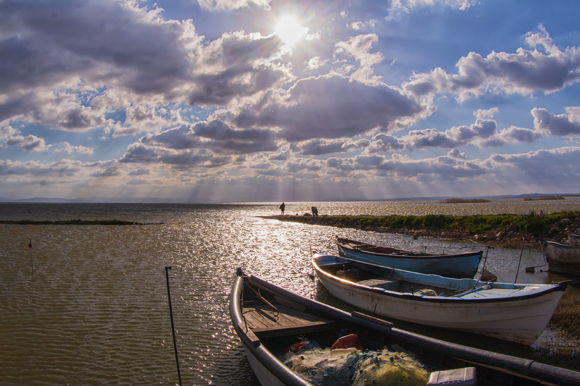 Bandırma Kuş Cenneti 263