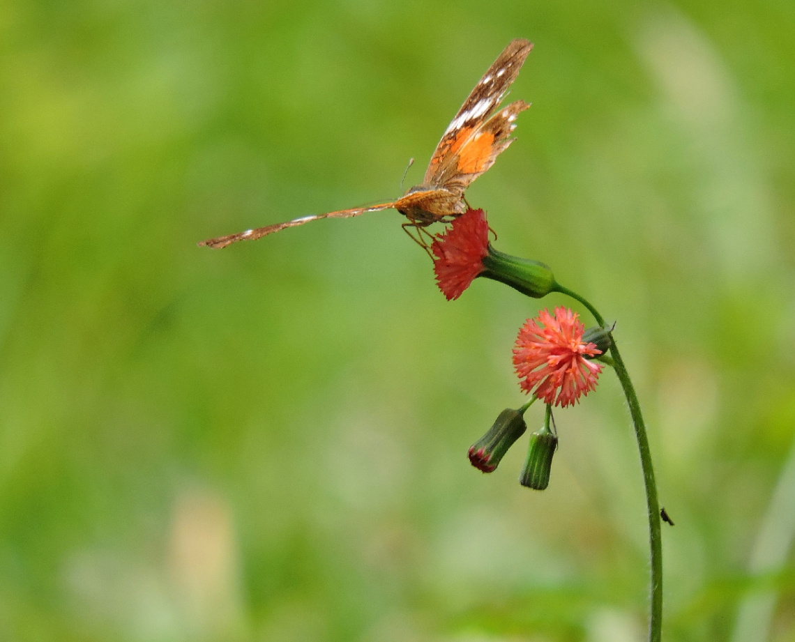 In Balance