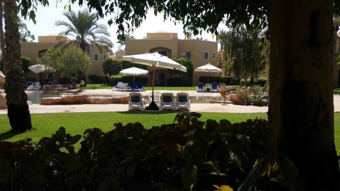 Egypt  - Alain alsokhna