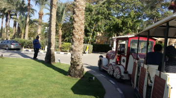 Egypt  - Alain alsokhna