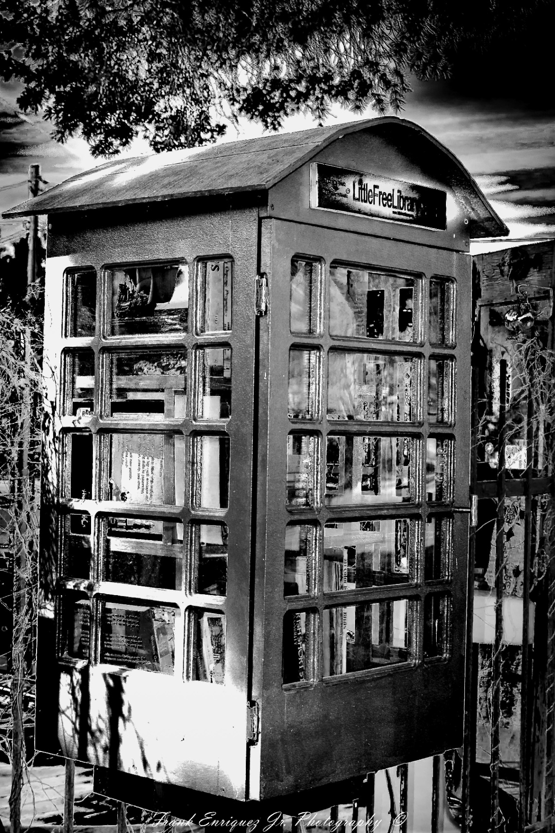 LITTLE FREE LIBRARY IN TUCSON ARIZONA