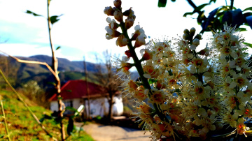 Bahar kıpırtıları