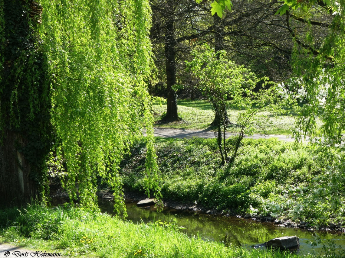 An der Alb in Karlsruhe / Deutschland