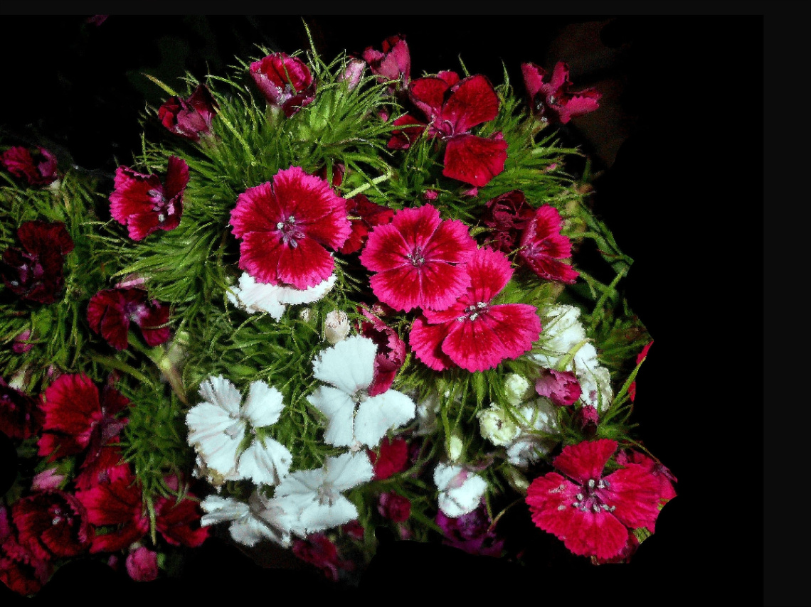 BLÜTEN