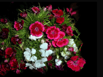 BLÜTEN