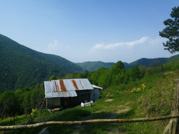 Sakarya doğançay köyü 