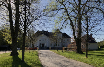 Spring Light