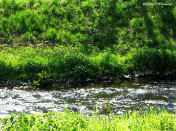 Einen friedlichen 1. Mai