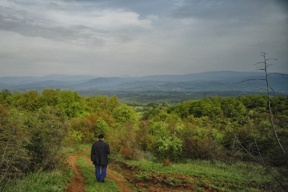 Orman Yolu