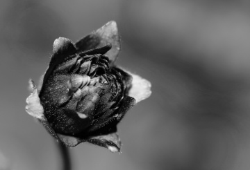 One