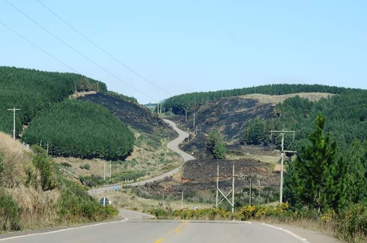 Cambará (Rio Grande do Sul) Brazil.