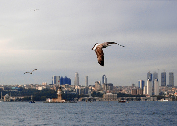 İstanbul...
