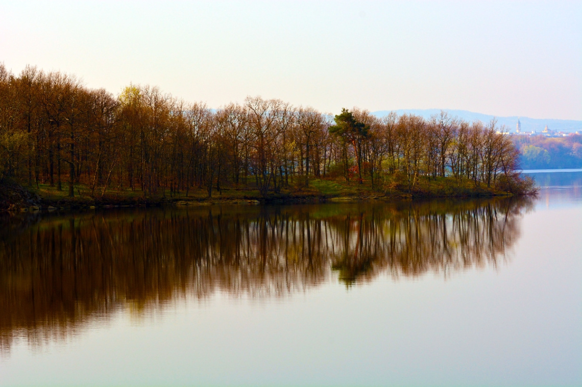 AM SEE