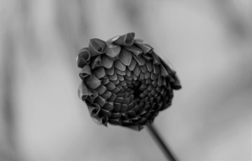 One