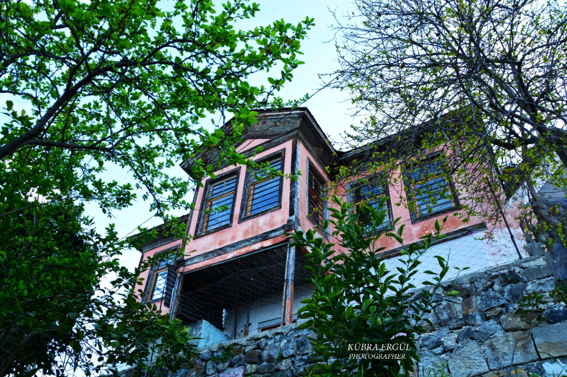 Manzara