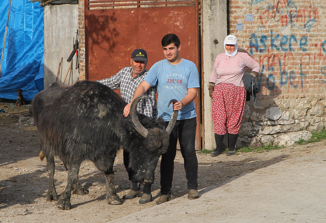 Manda Karşılamadan...