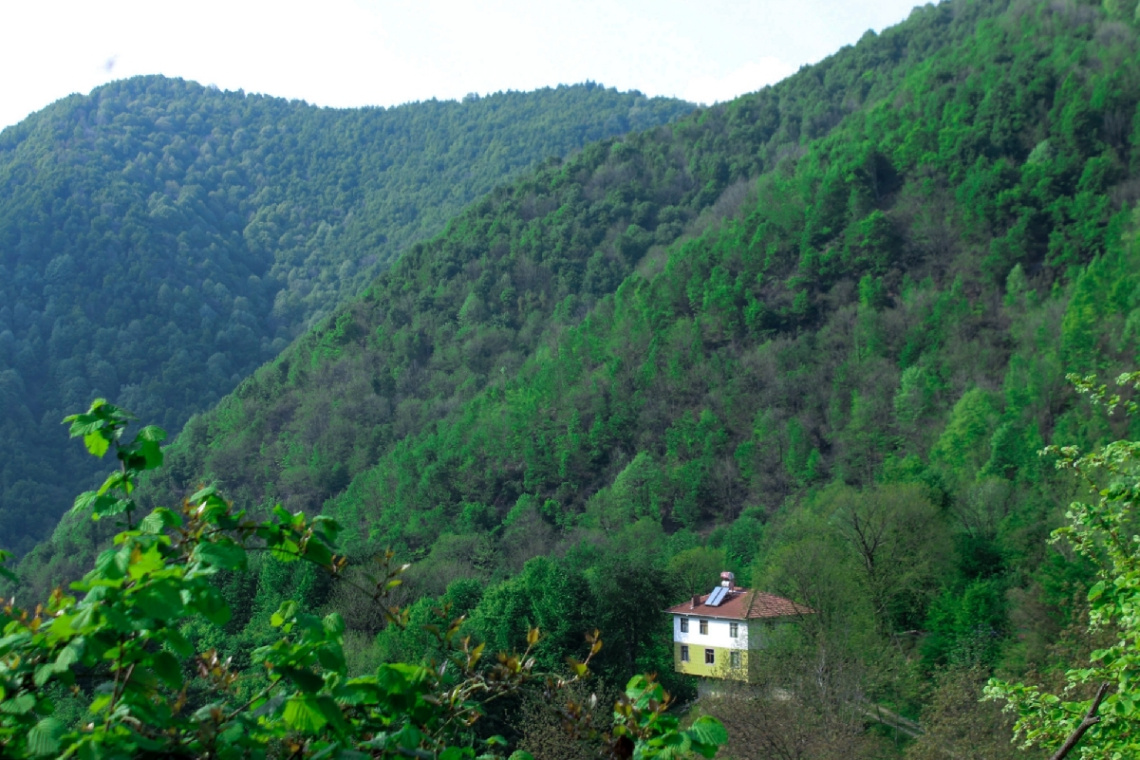Sakarya doğançay köyü 