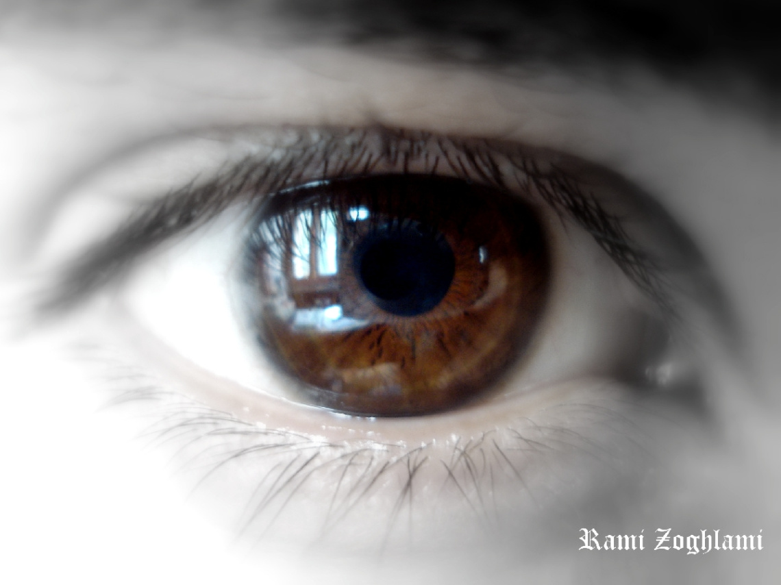The Brown Eye