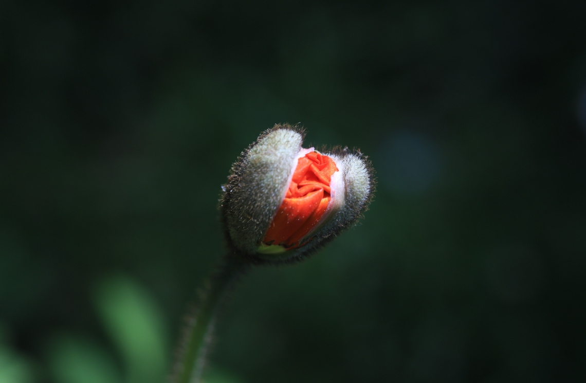 One