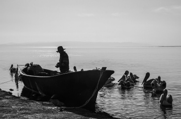 Balıkçı,  Manyas