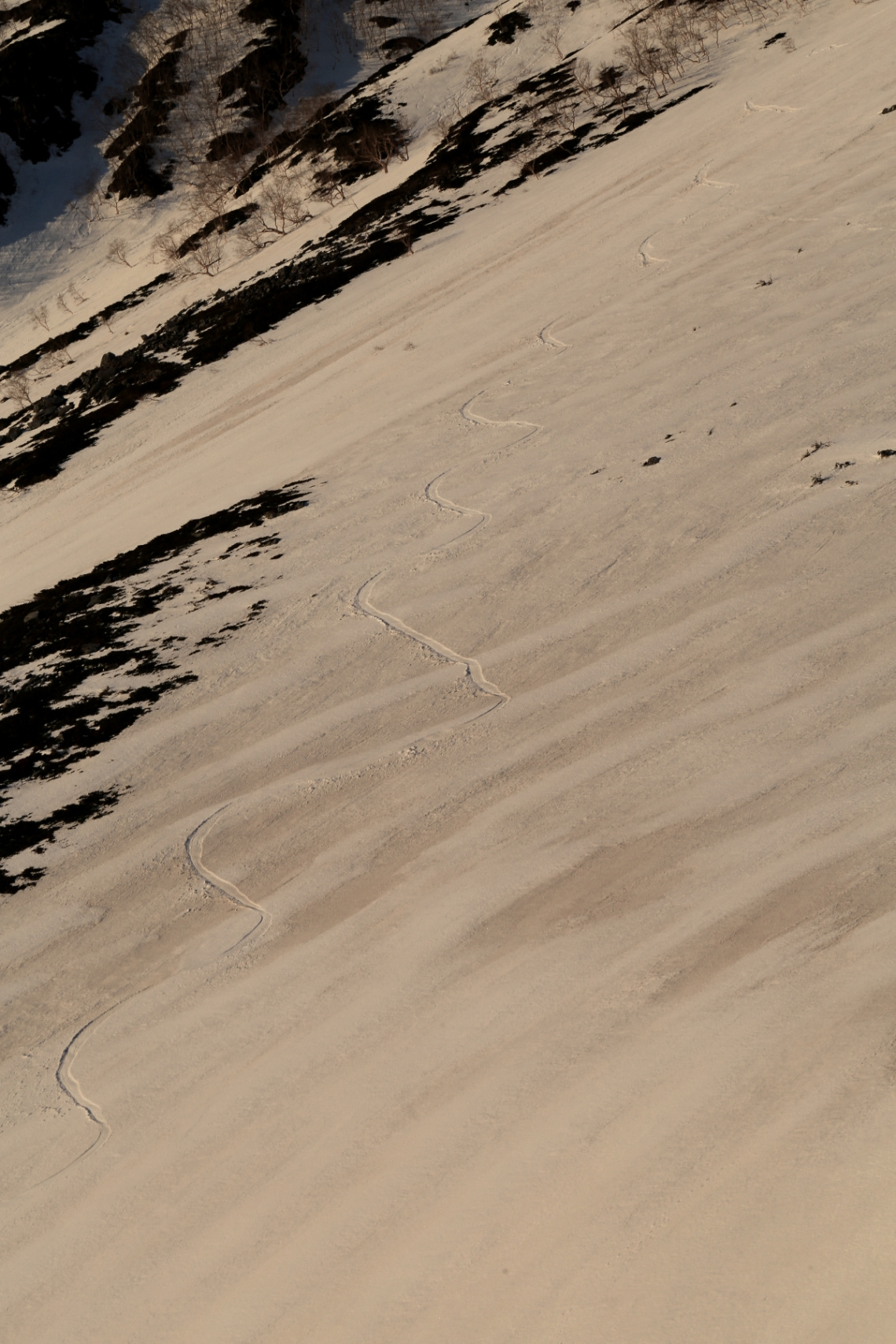 Spur…on the mountain